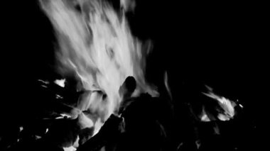 Siyah arka planda ateş alevleri, alev alev dokusu arka planda, çok güzel, ateş yanıyor, odun ve inek gübresi ile ateş siyah ve beyaz şenlik ateşi