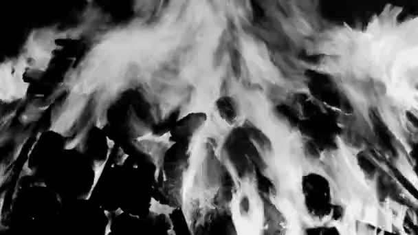 Oheň Plameny Černém Pozadí Požár Oheň Plamen Textury Pozadí Krásně — Stock video