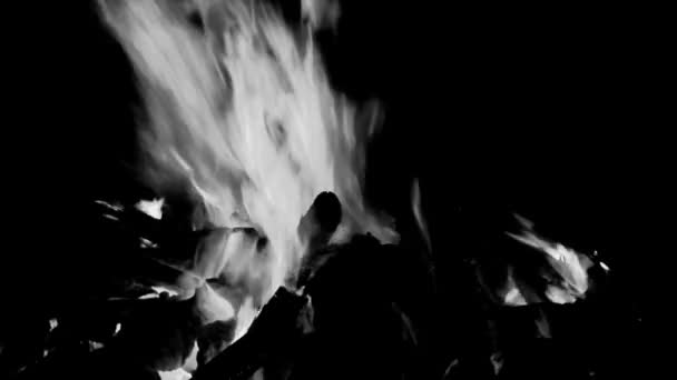 Llamas Fuego Sobre Fondo Negro Blaze Fuego Textura Llama Fondo — Vídeo de stock