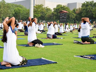 Uluslararası Yoga Günü 'nde Delhi' deki kriket stadyumunda farklı yaş gruplarından insanlar için grup Yoga egzersiz oturumu.