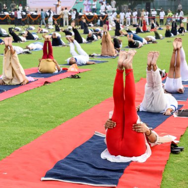 Uluslararası Yoga Günü 'nde Delhi' deki kriket stadyumunda farklı yaş gruplarından insanlar için grup Yoga egzersiz oturumu.