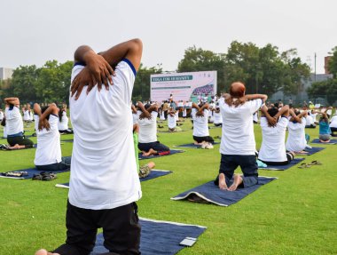 Uluslararası Yoga Günü 'nde Delhi' deki kriket stadyumunda farklı yaş gruplarından insanlar için grup Yoga egzersiz oturumu.