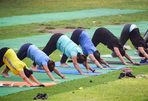 New Delhi India June 2022 Group Yoga Exercise Class Surya — Stockfoto