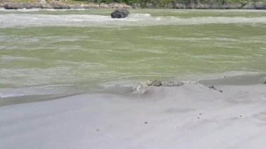 Rishikesh Uttarakhand yakınlarındaki GOA plajında sabah manzarası, sabahın erken saatlerinde Rishikesh 'teki Ganga nehrinin temiz manzarası, dünyaca ünlü GANGA nehri tam görüş açısı