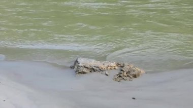 Rishikesh Uttarakhand yakınlarındaki GOA plajında sabah manzarası, sabahın erken saatlerinde Rishikesh 'teki Ganga nehrinin temiz manzarası, dünyaca ünlü GANGA nehri tam görüş açısı