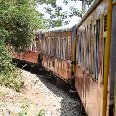 Oyuncak tren dağ yamaçlarında hareket ediyor, güzel bir manzara, bir dağ yamacı, bir vadi yamaçtan tepeye hareket ediyor, yeşil doğal ormanın arasında. Hindistan 'da Kalka' dan Shimla 'ya giden oyuncak tren, Hint treni.