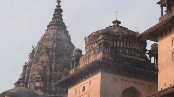 Morning View Royal Cenotaphs Chhatris Orchha Madhya Pradesh India Orchha — стокове відео