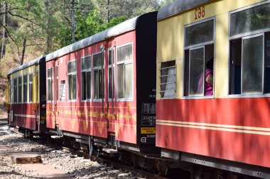 Oyuncak tren dağ yamaçlarında hareket ediyor, güzel bir manzara, bir dağ yamacı, bir vadi yamaçtan tepeye hareket ediyor, yeşil doğal ormanın arasında. Hindistan 'da Kalka' dan Shimla 'ya giden oyuncak tren, Hint treni.