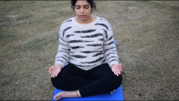 Genç Hintli Kadın Parkta Yoga Yapıyor Güzel Bir Kız Temel — Stok video