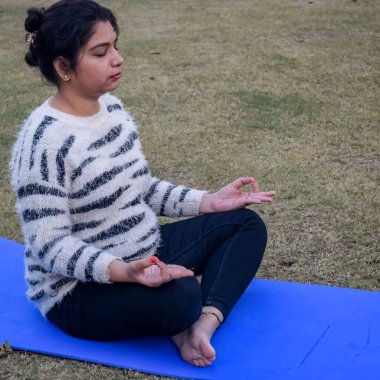 Genç Hintli kadın parkta yoga yapıyor. Güzel bir kız temel yoga pozu veriyor. Sakin ol ve rahatla, kadın mutluluğu. Temel Yoga Egzersizi