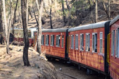 Oyuncak tren dağ yamaçlarında hareket ediyor, güzel bir manzara, bir dağ yamacı, bir vadi yamaçtan tepeye hareket ediyor, yeşil doğal ormanın arasında. Hindistan 'da Kalka' dan Shimla 'ya giden oyuncak tren, Hint treni.
