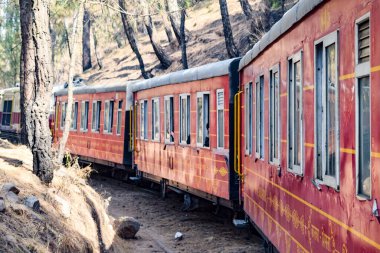 Oyuncak tren dağ yamaçlarında hareket ediyor, güzel bir manzara, bir dağ yamacı, bir vadi yamaçtan tepeye hareket ediyor, yeşil doğal ormanın arasında. Hindistan 'da Kalka' dan Shimla 'ya giden oyuncak tren, Hint treni.