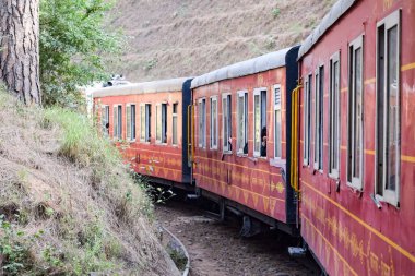 Oyuncak tren dağ yamaçlarında hareket ediyor, güzel bir manzara, bir dağ yamacı, bir vadi yamaçtan tepeye hareket ediyor, yeşil doğal ormanın arasında. Hindistan 'da Kalka' dan Shimla 'ya giden oyuncak tren, Hint treni.