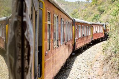 Oyuncak tren dağ yamaçlarında hareket ediyor, güzel bir manzara, bir dağ yamacı, bir vadi yamaçtan tepeye hareket ediyor, yeşil doğal ormanın arasında. Hindistan 'da Kalka' dan Shimla 'ya giden oyuncak tren, Hint treni.