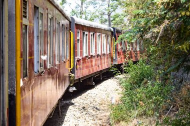 Oyuncak tren dağ yamaçlarında hareket ediyor, güzel bir manzara, bir dağ yamacı, bir vadi yamaçtan tepeye hareket ediyor, yeşil doğal ormanın arasında. Hindistan 'da Kalka' dan Shimla 'ya giden oyuncak tren, Hint treni.