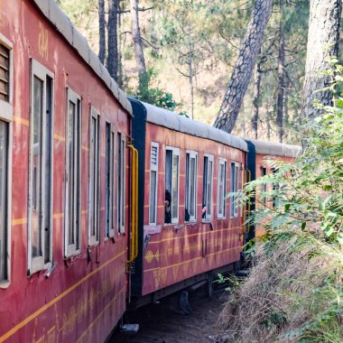 Oyuncak tren dağ yamaçlarında hareket ediyor, güzel bir manzara, bir dağ yamacı, bir vadi yamaçtan tepeye hareket ediyor, yeşil doğal ormanın arasında. Hindistan 'da Kalka' dan Shimla 'ya giden oyuncak tren, Hint treni.