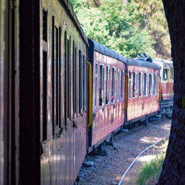 Oyuncak tren dağ yamaçlarında hareket ediyor, güzel bir manzara, bir dağ yamacı, bir vadi yamaçtan tepeye hareket ediyor, yeşil doğal ormanın arasında. Hindistan 'da Kalka' dan Shimla 'ya giden oyuncak tren, Hint treni.