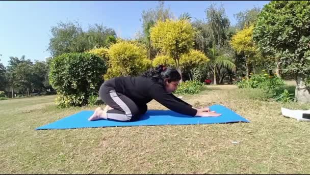 Young Indian Woman Practicing Yoga Outdoor Park Beautiful Girl Practice — Αρχείο Βίντεο