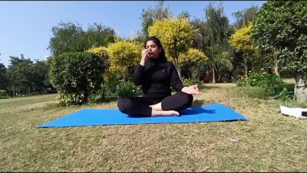 公園でヨガの屋外練習をしている若いインド人女性 美しい女の子は基本的なヨガのポーズを練習 落ち着きとリラックス 女性の幸福 基本的なヨガポーズ屋外 — ストック動画