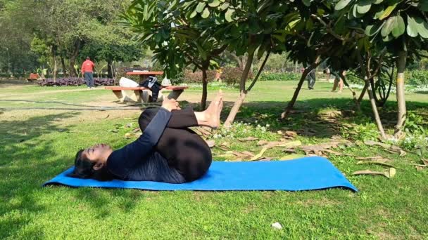 Young Indian Woman Practicing Yoga Outdoor Park Beautiful Girl Practice — Stok video