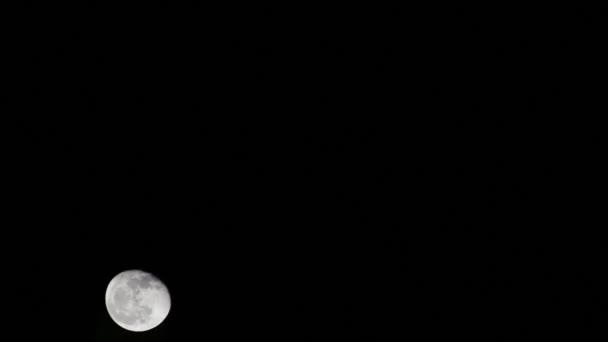Moon Timelapse Stock Zamanaşımı Dolunay Karanlık Gökyüzünde Yükseliyor Gece Vakti — Stok video