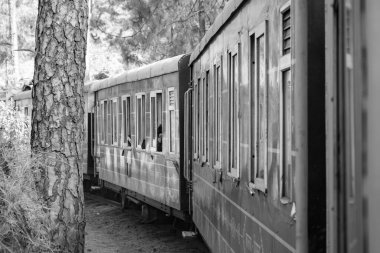 Toy Train moving on mountain slope, beautiful view, 1 side mountain, 1 side valley moving on railway to the hill, among green natural forest. Toy train from Kalka to Shimla in India-Black and White