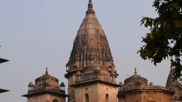 Vista Matutina Los Cenotafios Reales Chhatris Orchha Madhya Pradesh India — Vídeos de Stock