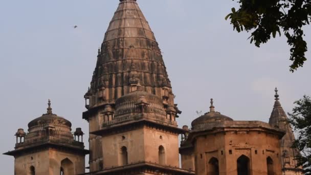 Morning View Royal Cenotaphs Chhatris Orchha Madhya Pradesh Índia Orchha — Vídeo de Stock