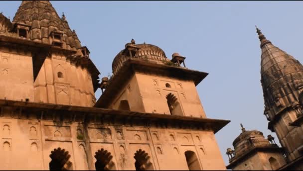Morgenansicht Der Königlichen Zenotaphs Chhatris Von Orchha Madhya Pradesh Indien — Stockvideo