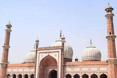 Delhi, Hindistan - 15 Nisan 2022: Tanımlanamayan Hintli turistler Ramzan sezonunda Jama Mescid 'i ziyaret ediyorlar, Delhi 6, Hindistan. Jama Mescidi Hindistan 'daki en büyük ve belki de en görkemli camidir.