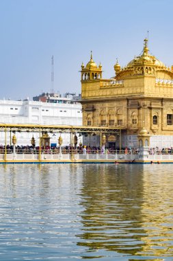 Amritsar, Punjab, Hindistan 'daki Altın Tapınağın (Harmandir Sahib) güzel manzarası, ünlü Hintli sih simgesi, Altın Tapınak, Amritsar, Hindistan' daki Sihlerin ana mabedi