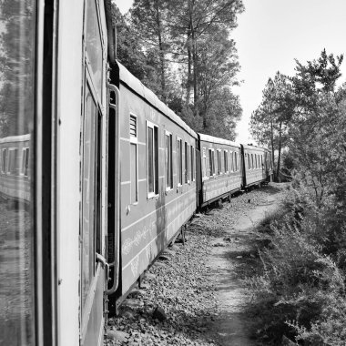 Oyuncak tren dağ yamaçlarında hareket ediyor, güzel bir manzara, bir dağ yamacı, bir vadi yamaçtan tepeye hareket ediyor, yeşil doğal ormanın arasında. Hindistan 'da Kalka' dan Shimla 'ya giden oyuncak tren, Hint treni.