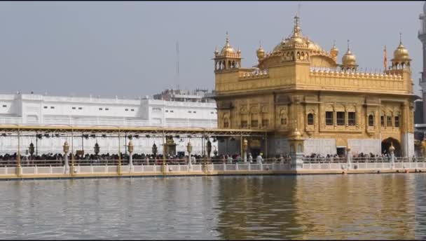 Bela Vista Templo Ouro Harmandir Sahib Amritsar Punjab Índia Famoso — Vídeo de Stock