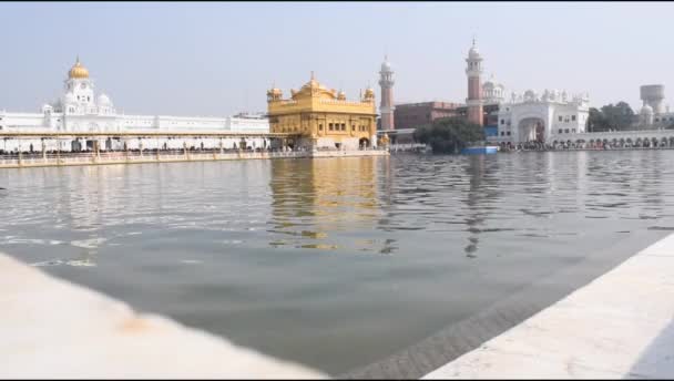Amritsar Punjab Hindistan Daki Altın Tapınağın Harmandir Sahib Güzel Manzarası — Stok video