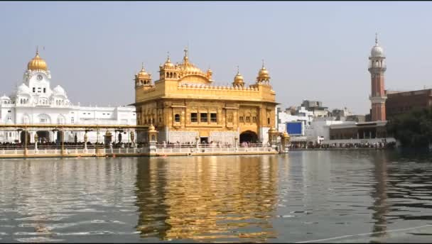 Prachtig Uitzicht Gouden Tempel Harmandir Sahib Amritsar Punjab India Beroemde — Stockvideo