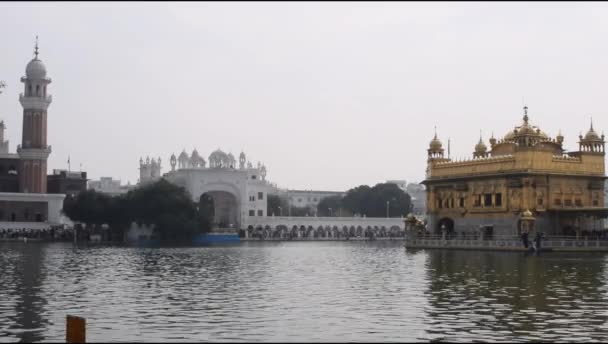 Piękny Widok Złotej Świątyni Harmandir Sahib Amritsarze Pendżab Indie Słynny — Wideo stockowe