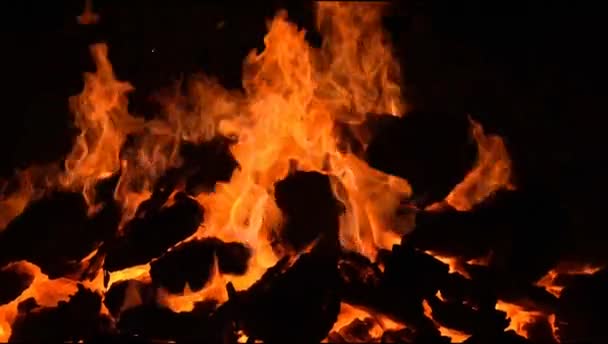 黒の背景に火の炎 炎の炎のテクスチャの背景 美しく 火が燃えています 木や牛の糞たき火で火の炎 — ストック動画