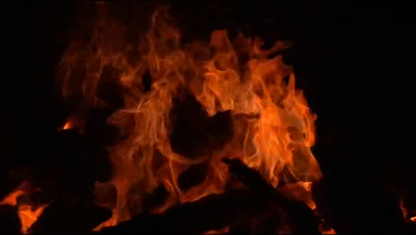 Brand Lågor Svart Bakgrund Blaze Brand Flamma Konsistens Bakgrund Vackert — Stockvideo