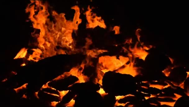 Tűz Lángok Fekete Háttér Láng Tűz Láng Textúra Háttér Gyönyörűen — Stock videók