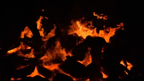 Feuerflammen Auf Schwarzem Hintergrund Flammenflamme Textur Hintergrund Wunderschön Das Feuer — Stockvideo