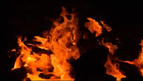 Ogień Płomienie Czarnym Tle Blaze Ogień Płomień Tło Tekstury Pięknie — Wideo stockowe