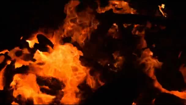 Api Latar Belakang Hitam Api Api Membakar Latar Belakang Tekstur — Stok Video