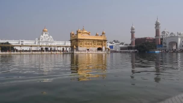 アムリトサルの黄金寺院 Harmandir Sahib の美しい景色 パンジャブ インド 有名なインドのシーク教のランドマーク 黄金の寺院 アムリトサルのシーク教の主な聖域 インド — ストック動画