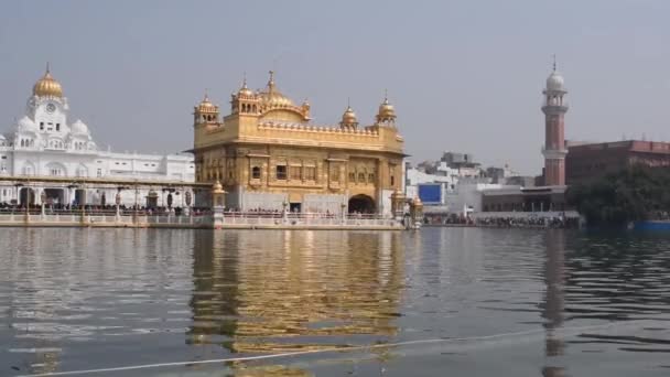 Όμορφη Θέα Του Χρυσού Ναού Harmandir Sahib Στο Αμρίτσαρ Πουντζάμπ — Αρχείο Βίντεο