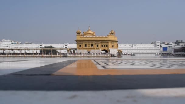 Όμορφη Θέα Του Χρυσού Ναού Harmandir Sahib Στο Αμρίτσαρ Πουντζάμπ — Αρχείο Βίντεο