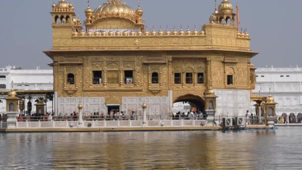 Schöne Ansicht Des Goldenen Tempels Harmandir Sahib Amritsar Punjab Indien — Stockvideo