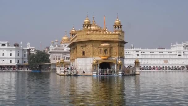 Belle Vue Sur Temple Harmandir Sahib Amritsar Punjab Inde Célèbre — Video
