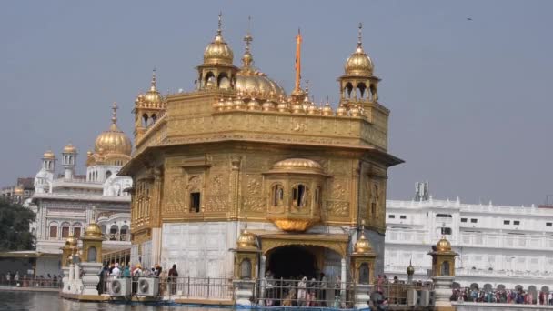 印度旁遮普邦Amritsar的金圣殿 Harmandir Sahib 印度著名锡克教标志 印度Amritsar锡克教主圣地金圣殿的美丽景色 — 图库视频影像