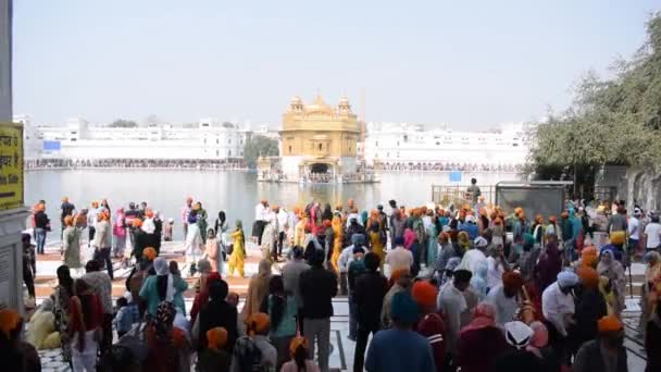 Amritsar Índia Fevereiro 2023 Devotos Não Identificados Várias Partes Templo — Vídeo de Stock