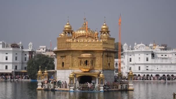 Прекрасний Вид Золотий Храм Гармандір Сахіб Амріцах Пенджаб Індія Знаменитий — стокове відео